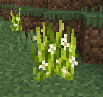 image (1).png