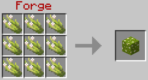 image (5).png