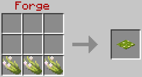 image (6).png